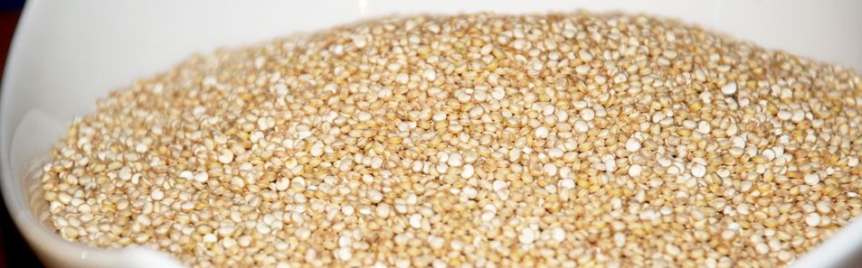 Quinoa: cos'è, da dove arriva, perché mangiarla