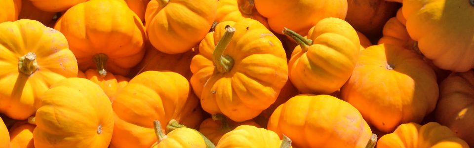 Maschera alla zucca per una pelle luminosa