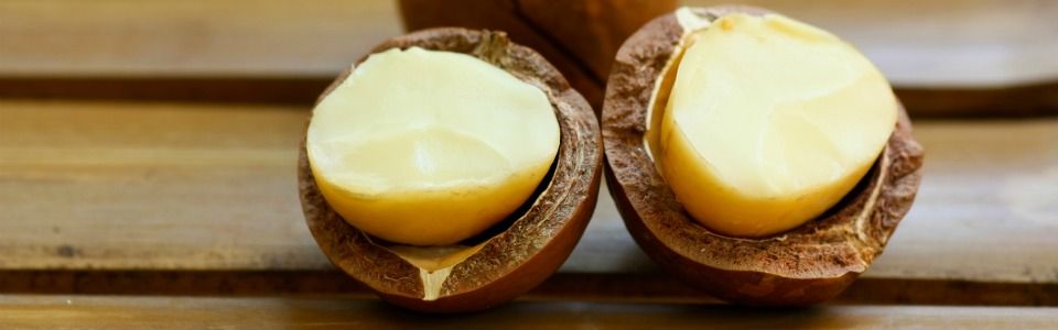 Olio di Macadamia: usi e benefici