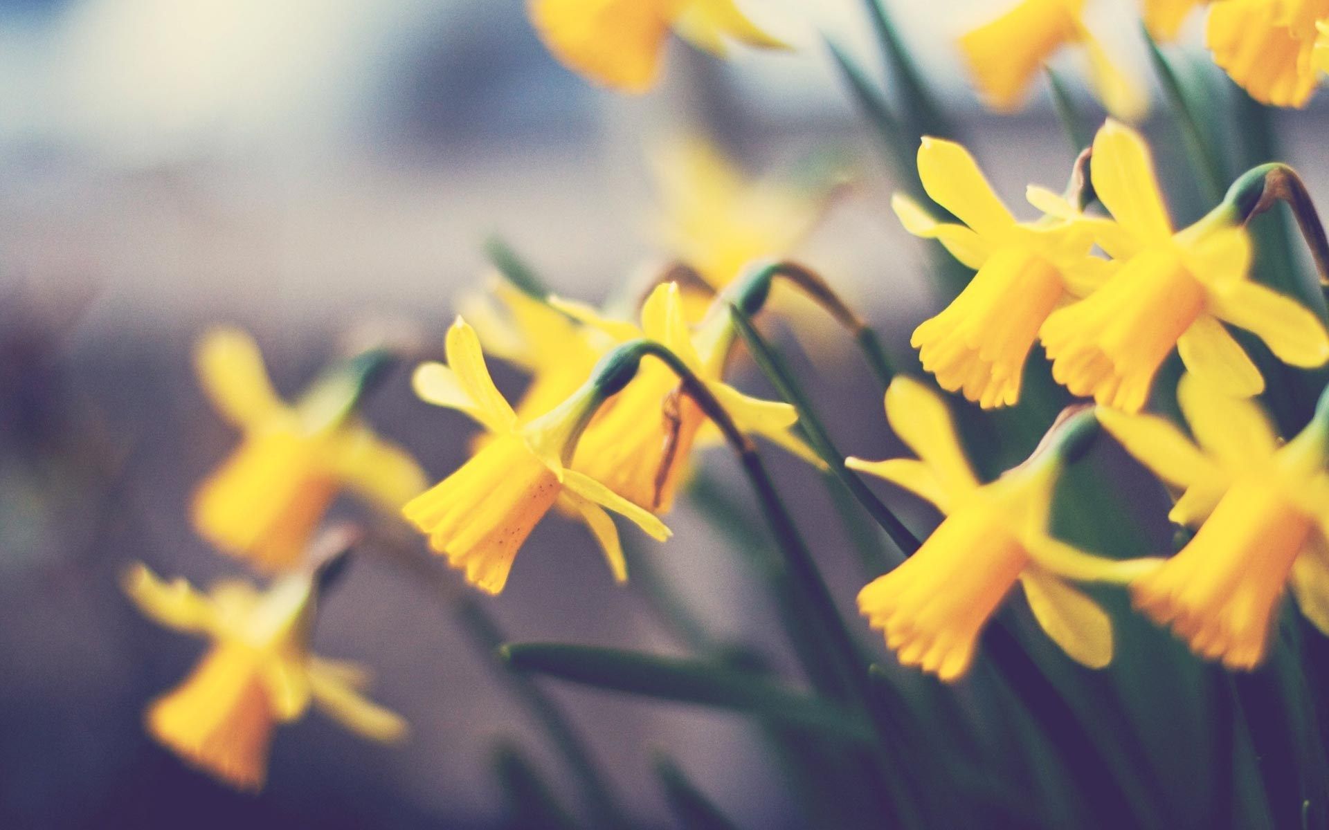 Vestirsi di giallo per la primavera: ecco cosa comprare