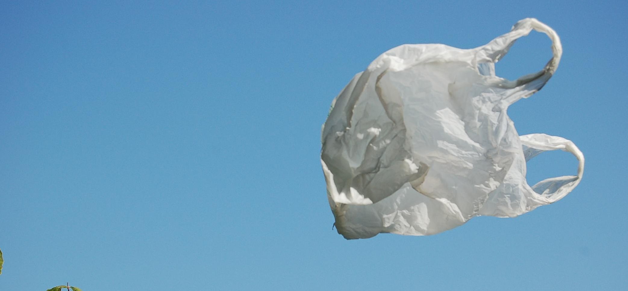 5 modi per riciclare i sacchetti di plastica