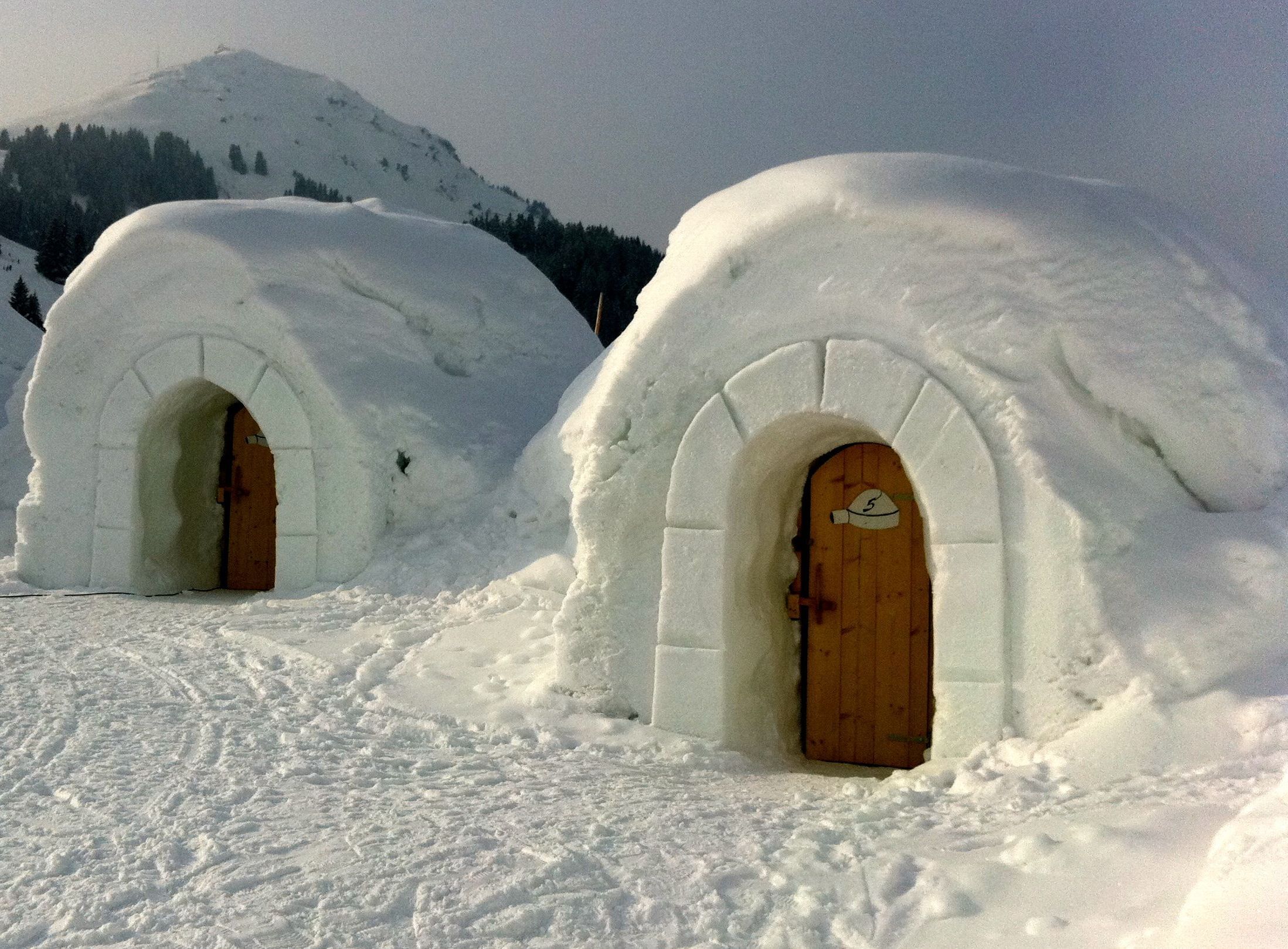 Un uomo ha deciso di costruire un igloo a Brooklyn