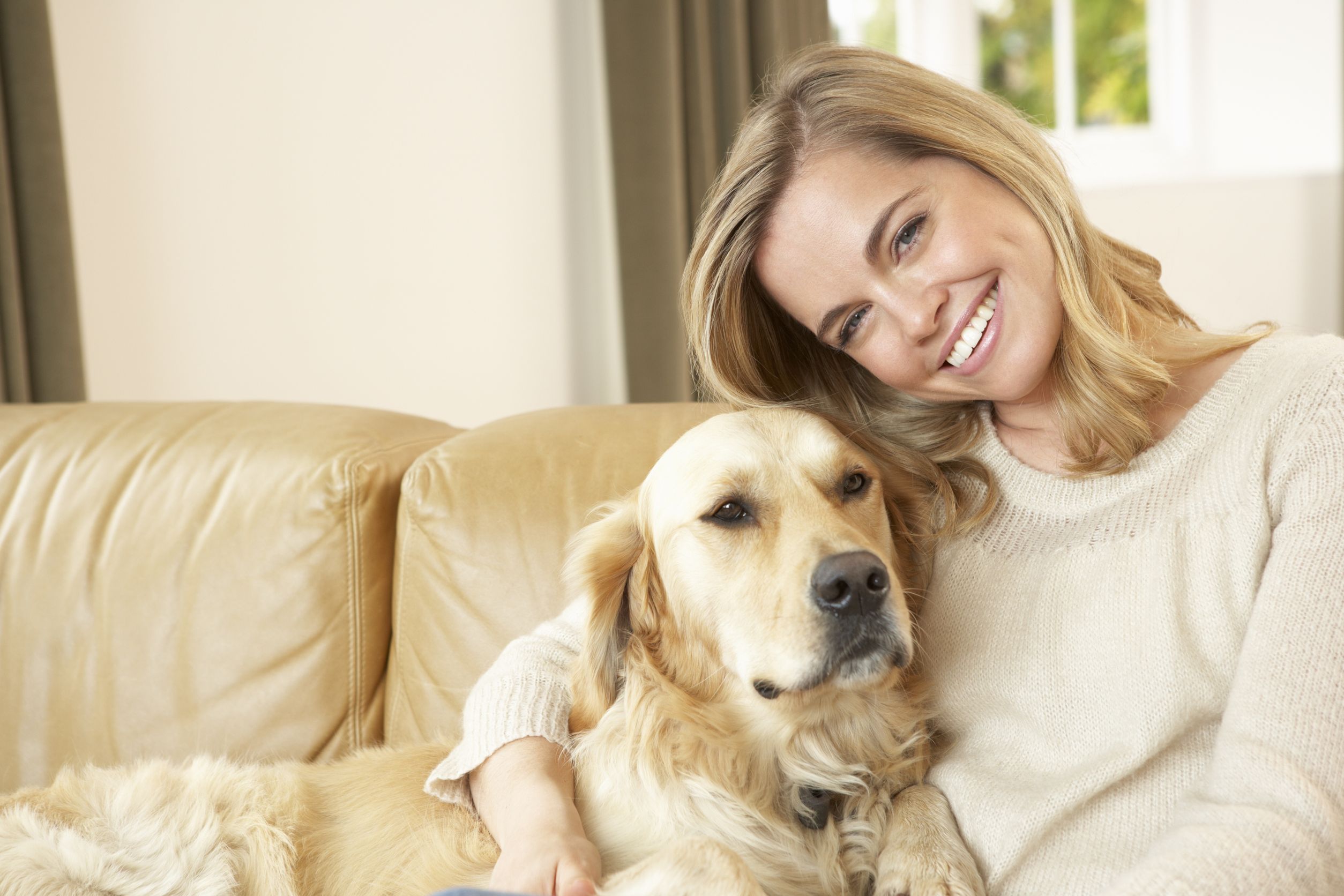 10 buone ragioni per cui dovresti adottare un cane adesso