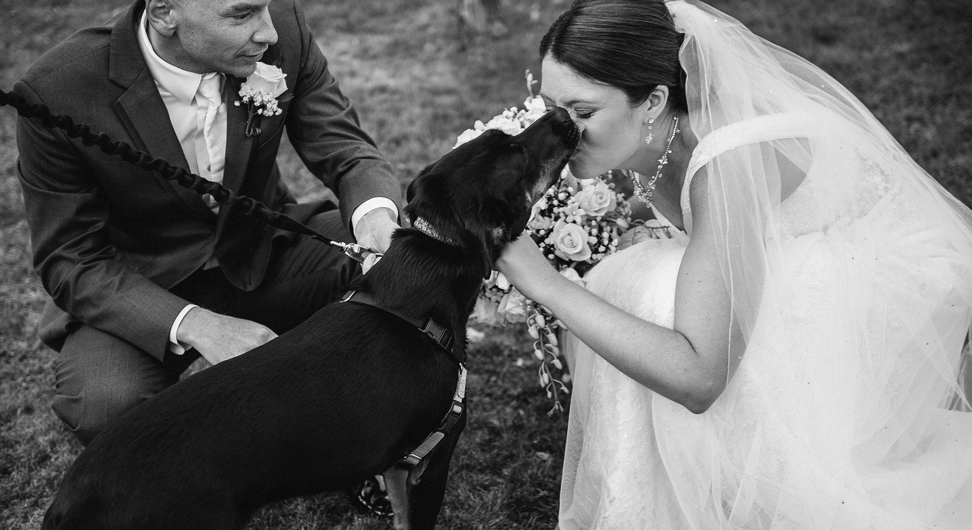 Come organizzare un matrimonio senza rinunciare al tuo cane