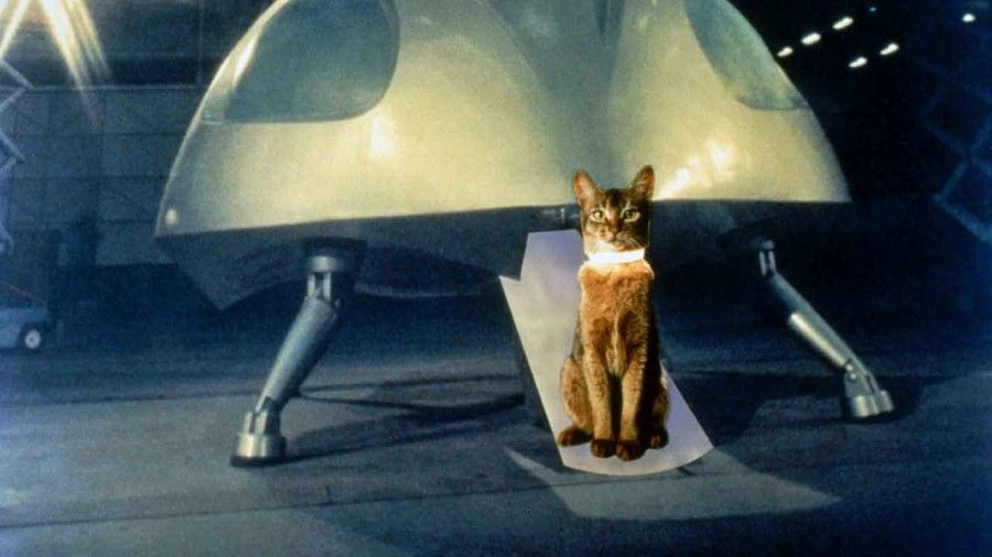 The-Cat-From-Outer-Space-01-DI-1