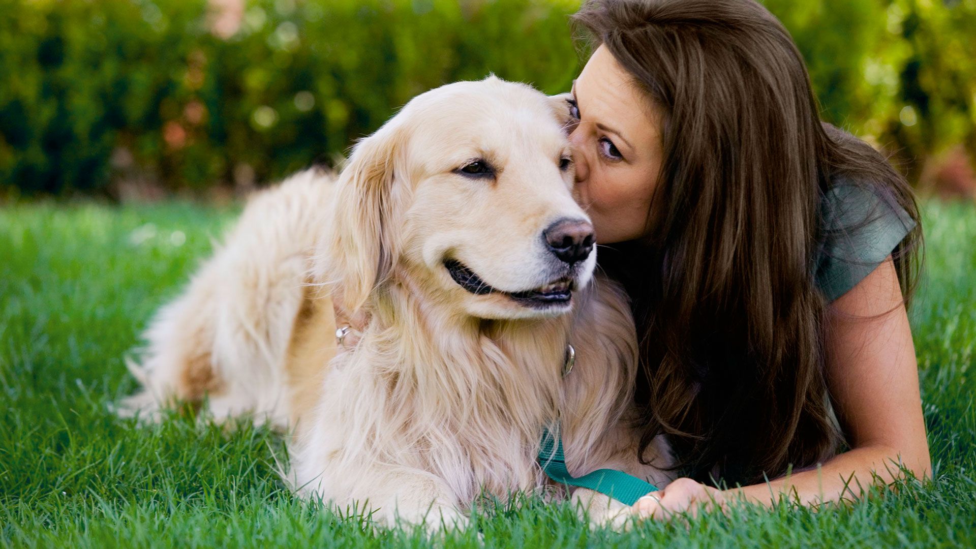 Chi ha un cane parla più con l’animale che col partner