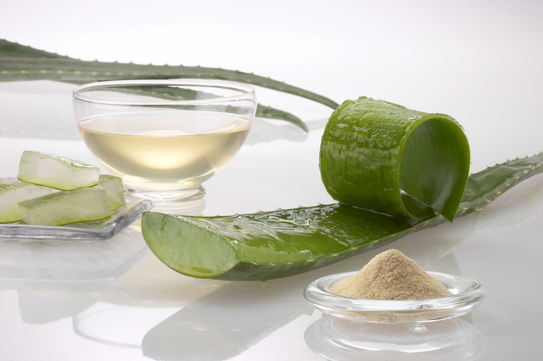 Come preparare il gel d’aloe vera