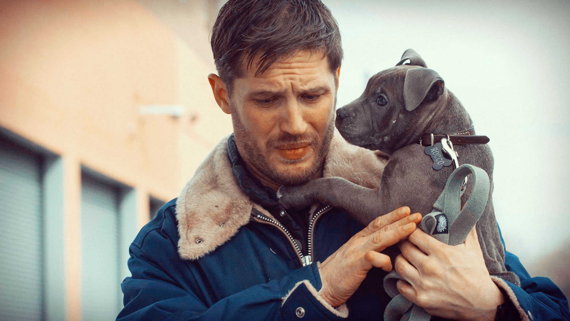 Chi è veramente Tom Hardy? Ecco tutto quello che devi sapere