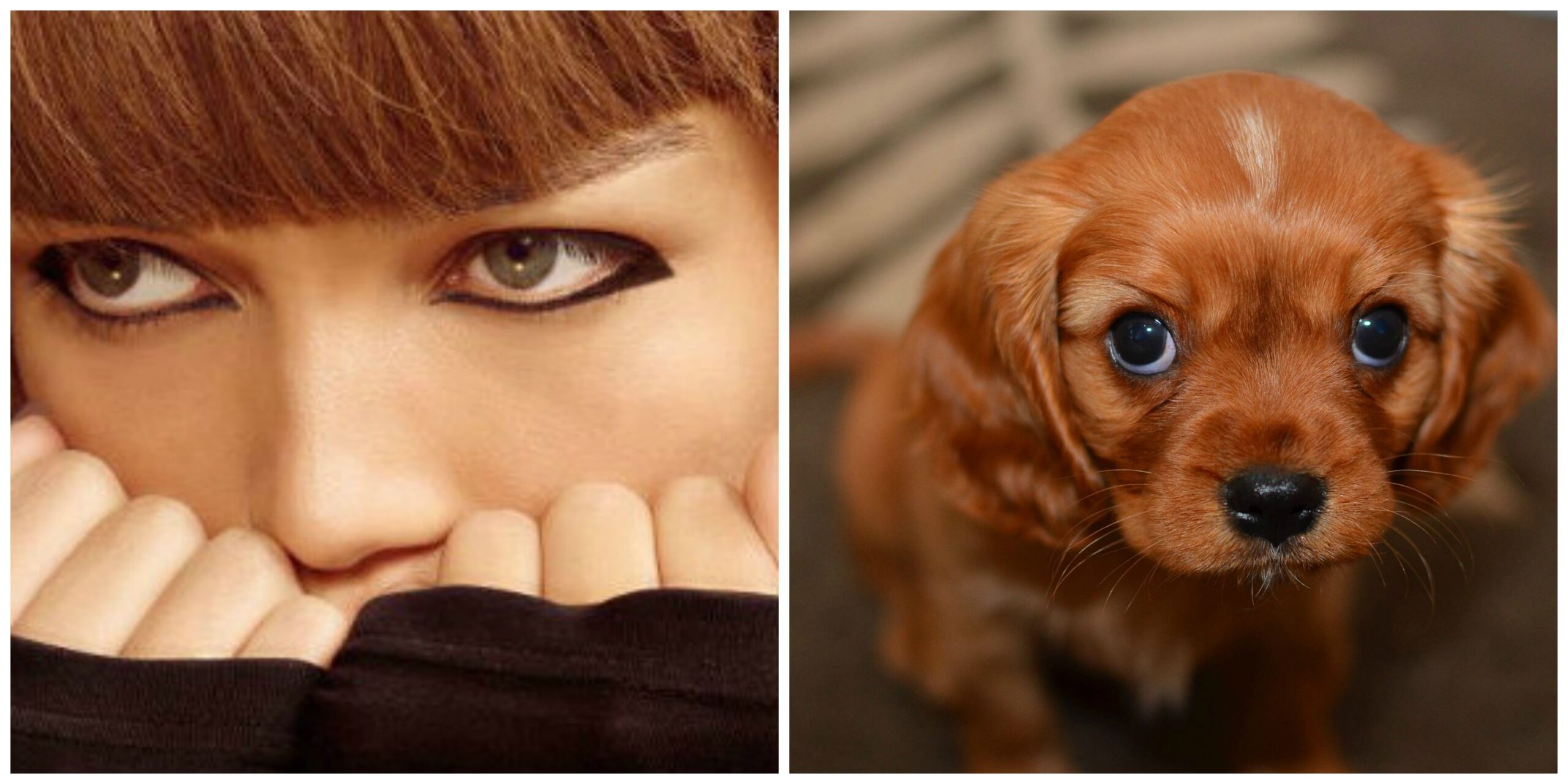 Puppy Eye: arriva dall’Asia la nuova tendenza make-up