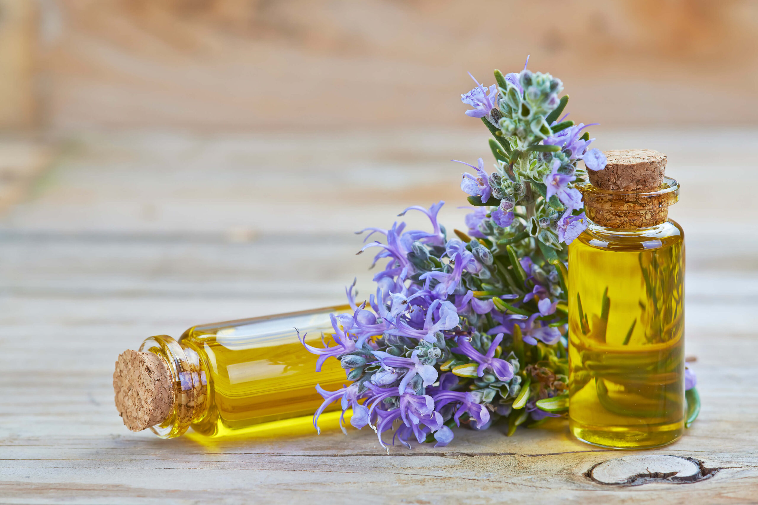 5 proprietà beauty dell’olio essenziale di rosmarino