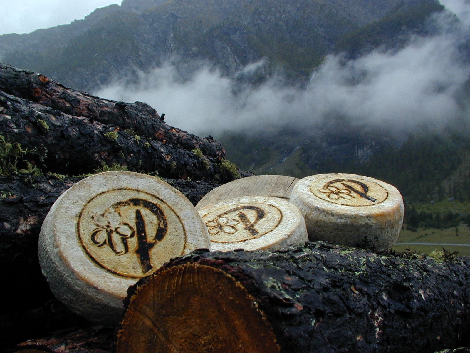 Avete mai assaggiato il formaggio delle viole?