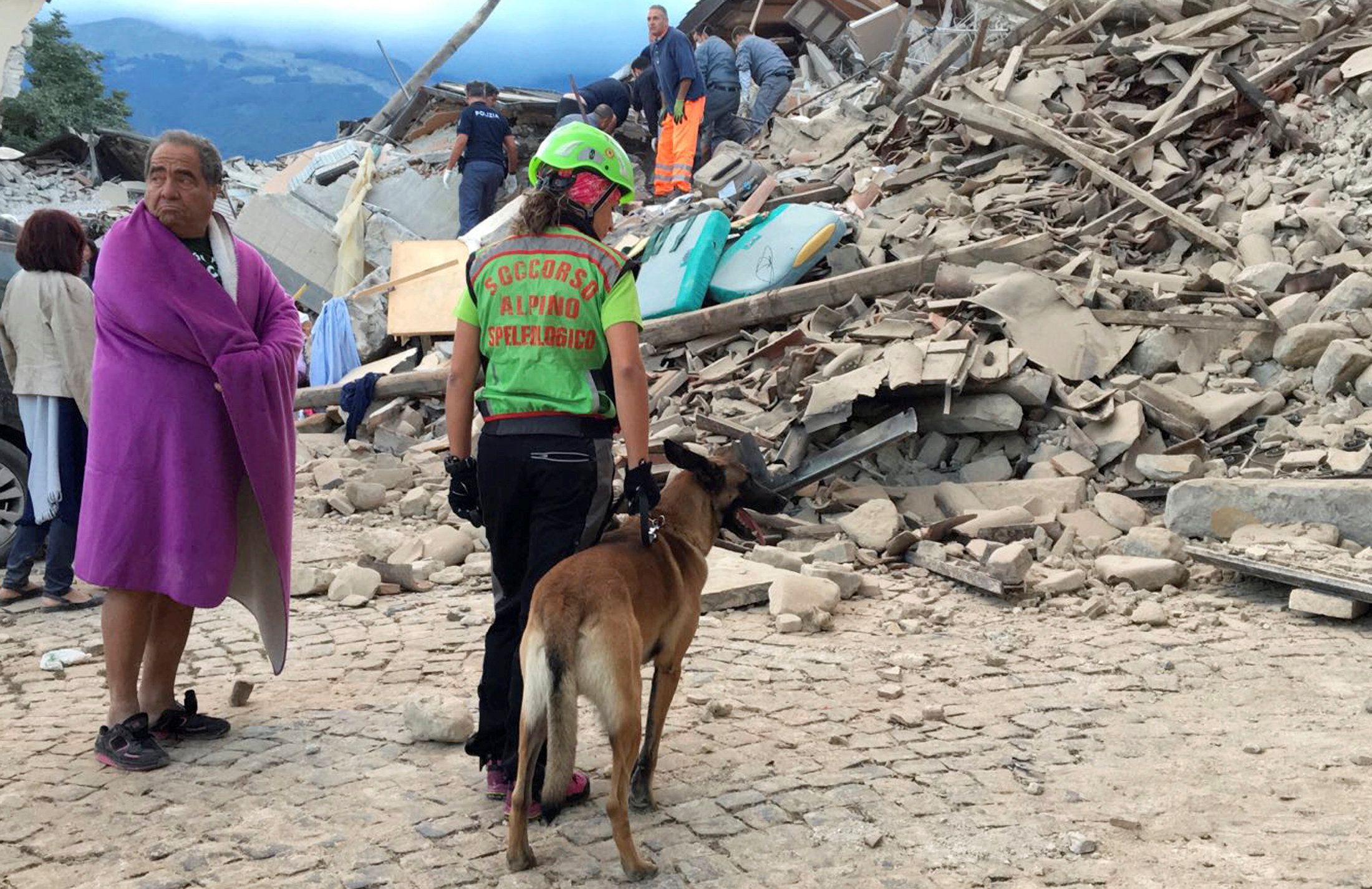 Terremoto: tra i soccorritori anche tanti cani eroi