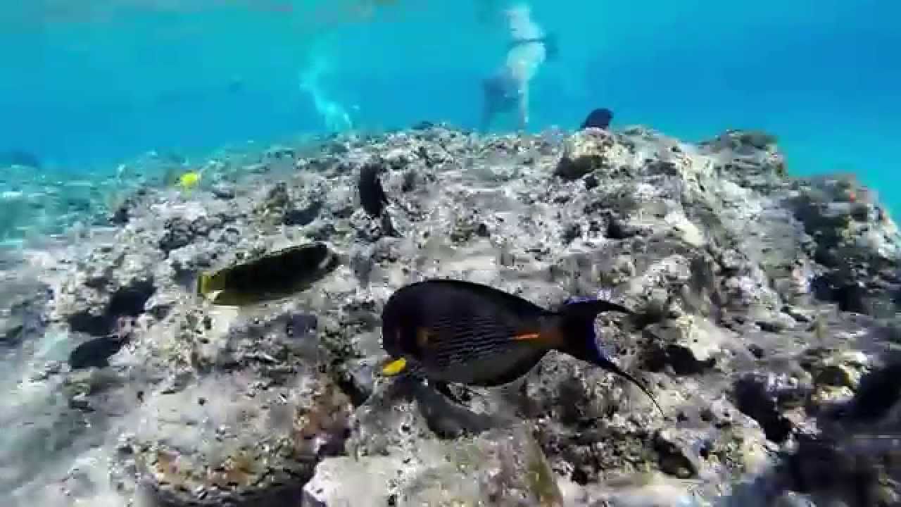 Dove fare le migliori immersioni nel Mar Rosso egiziano