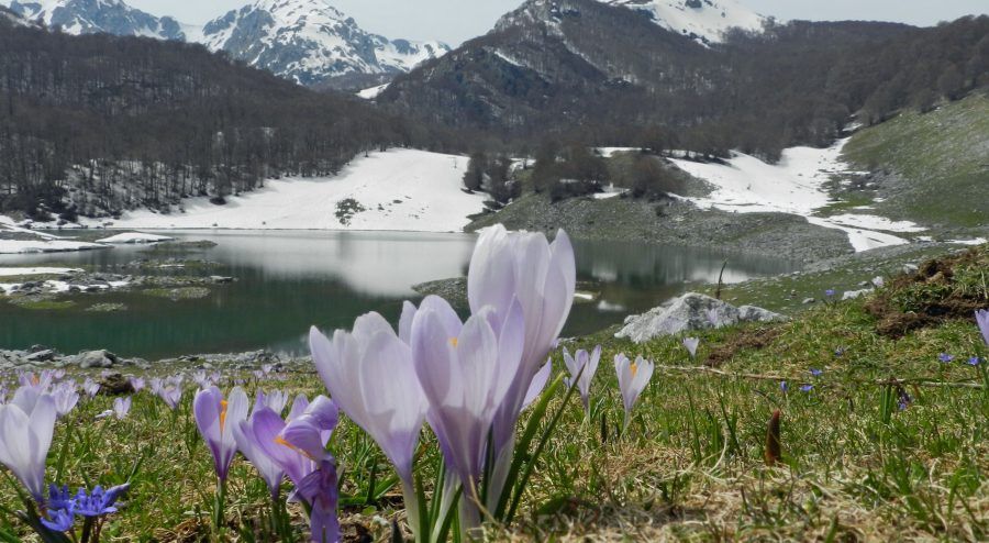 parco_abruzzo_4