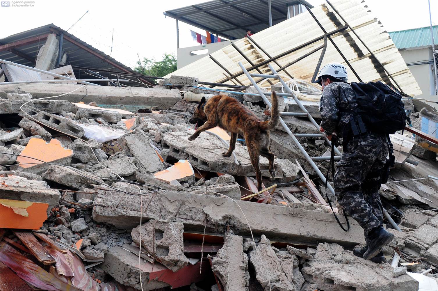 Terremoto: cosa potete fare per aiutare a distanza