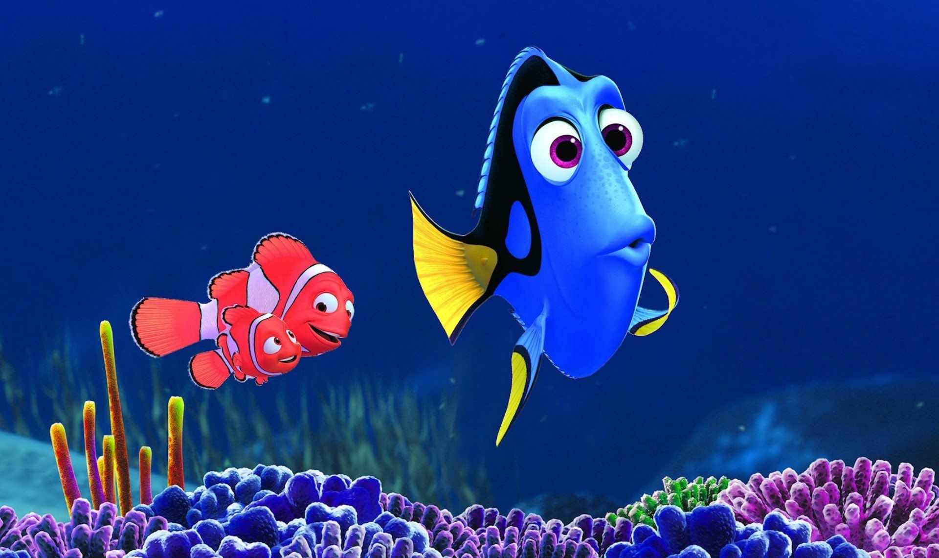 5 motivi per andare a vedere Alla ricerca di Dory