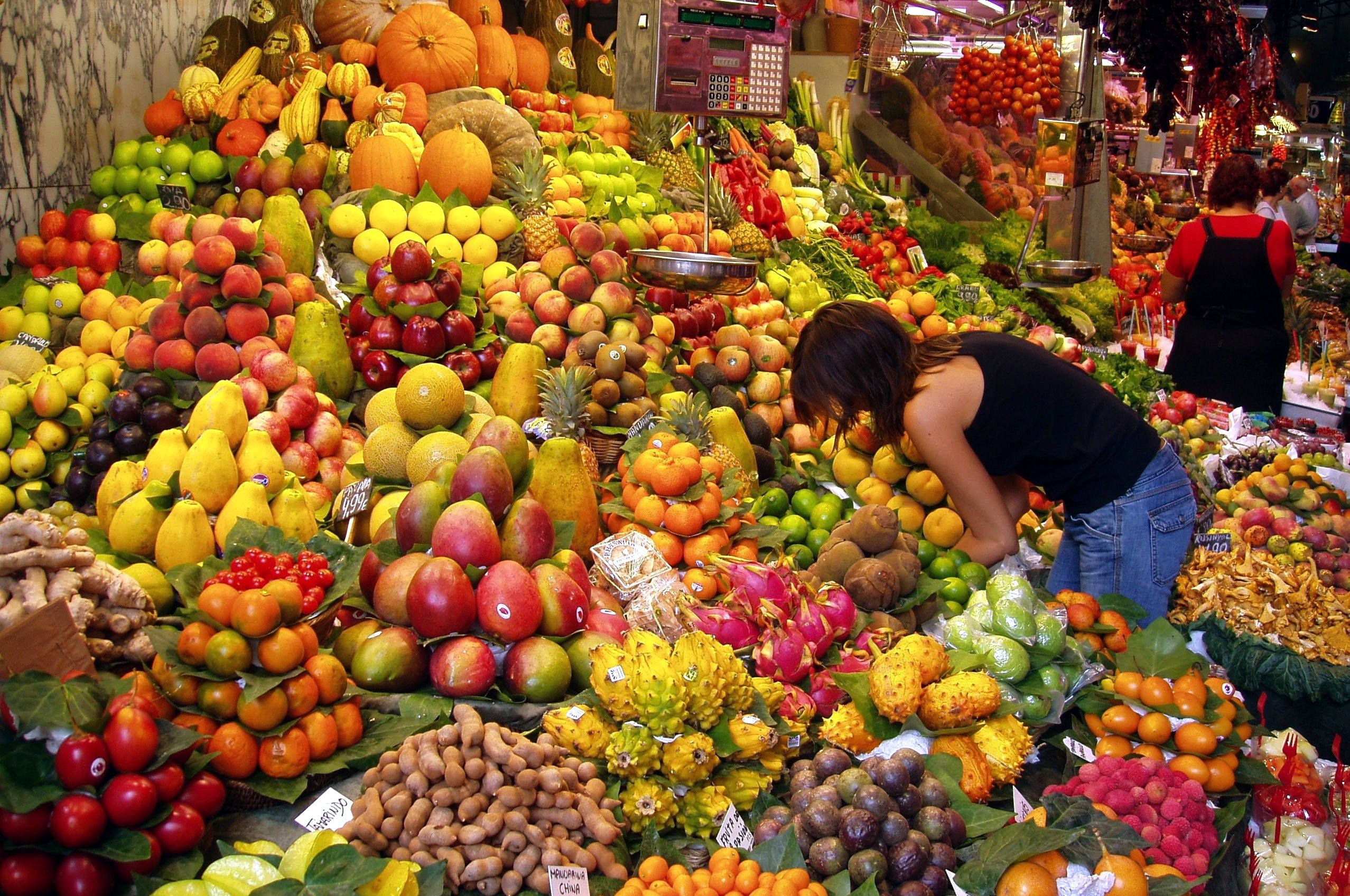 Il giro del mondo Veg: le mete top per vegani e vegetariani