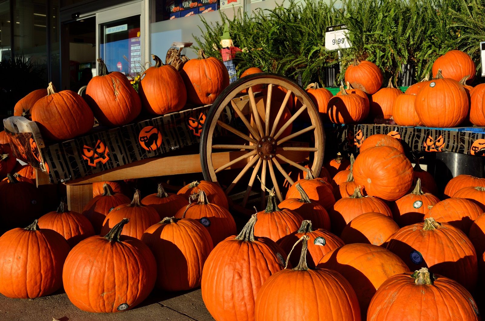 5 modi creativi e originali per decorare le zucche di Halloween