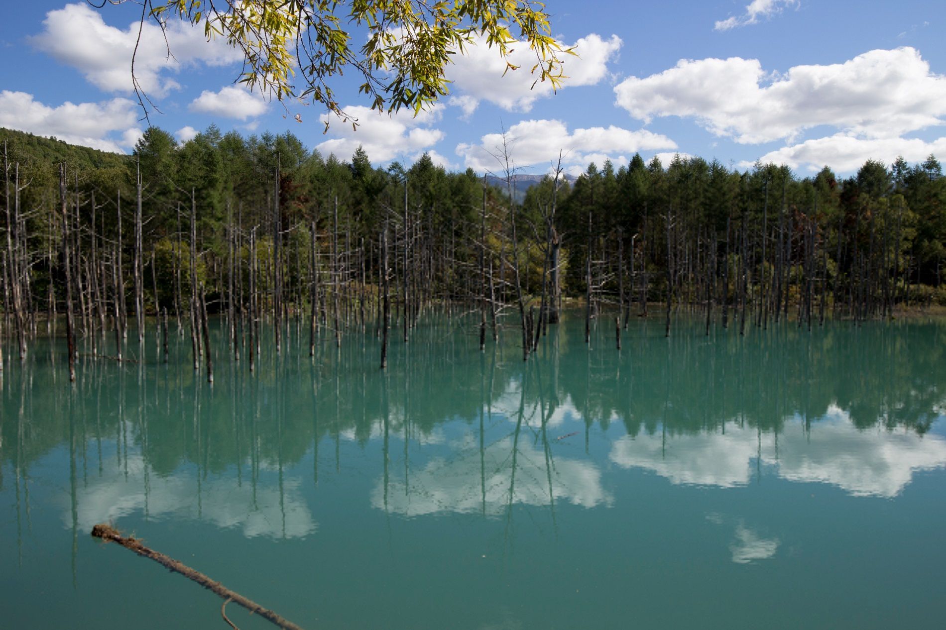 L’isola che cambia colore a seconda delle stagioni