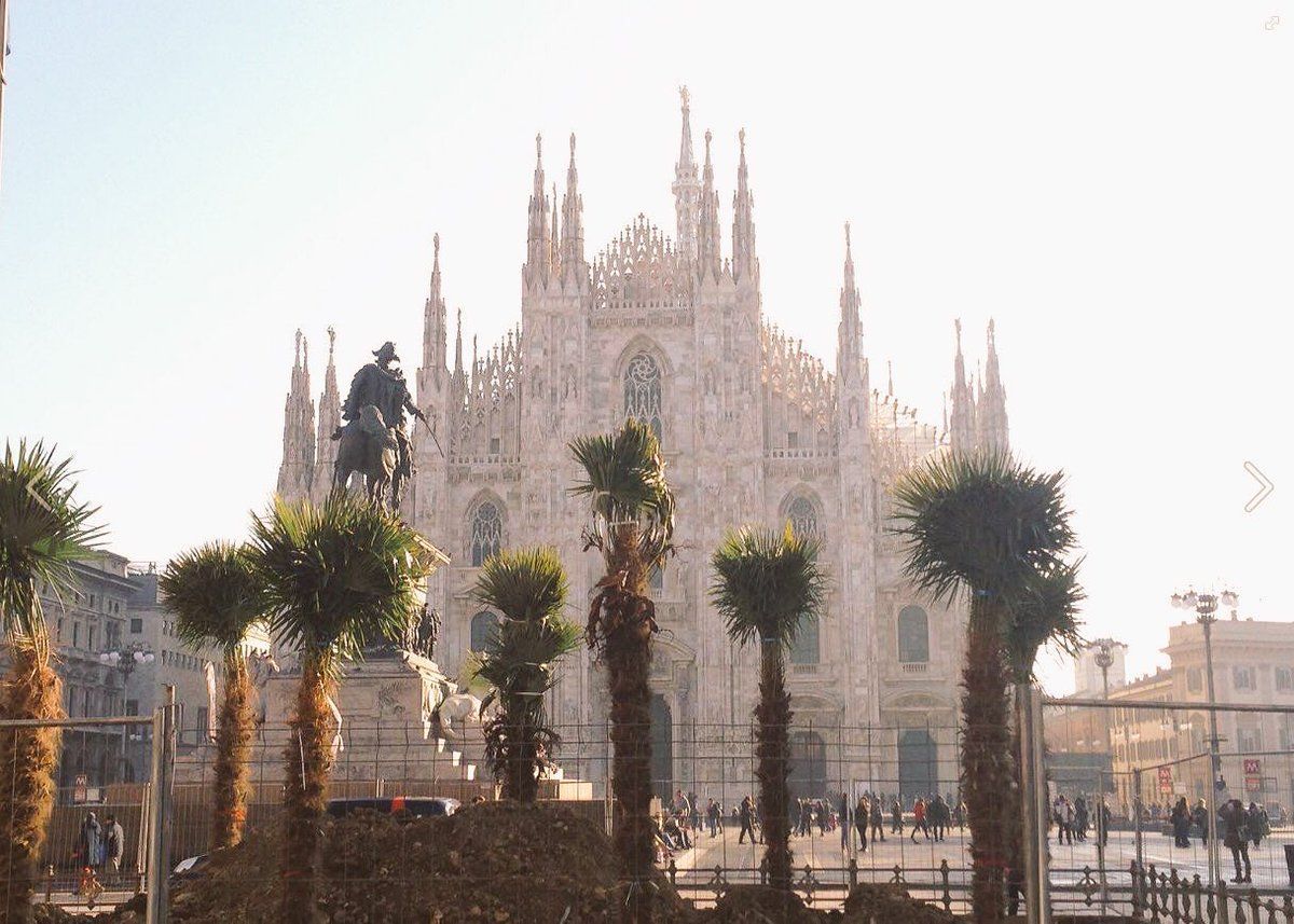 Perché ci sono delle palme in piazza Duomo a Milano?