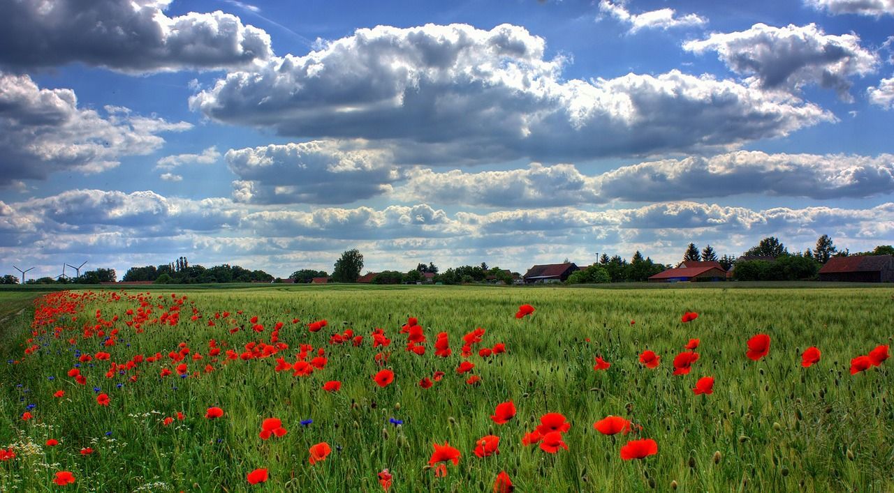 Gli integratori naturali utili per sopravvivere alla primavera