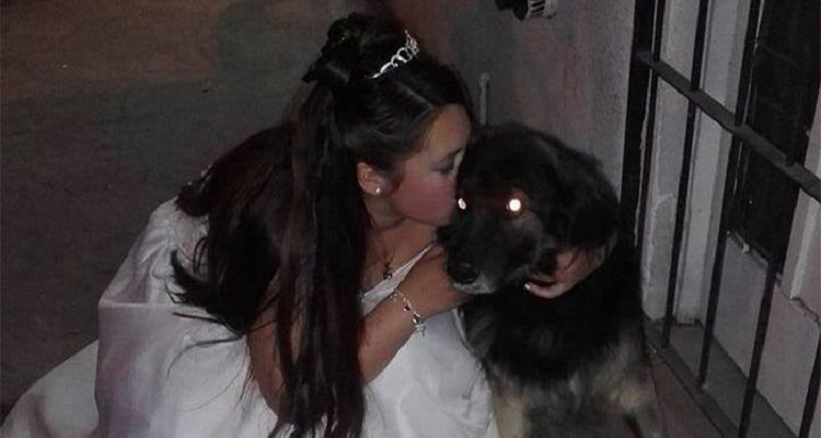 Una ragazza di 15 anni salva i cani randagi della città