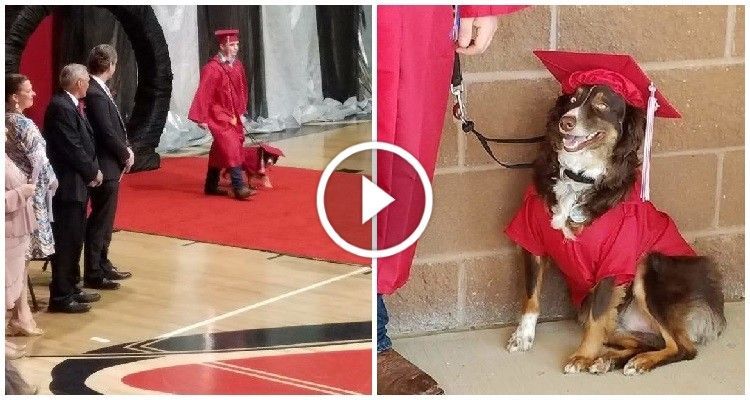 Festeggia la fine del liceo insieme al suo fedele cane