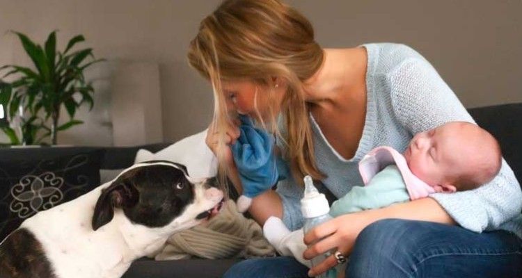 Due cuccioli sotto lo stesso tetto: la convivenza tra neonato e animale domestico