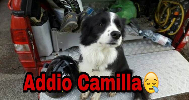 Addio Camilla, hai dato la tua vita per l’uomo che ogni giorno si mostra sempre peggio con voi