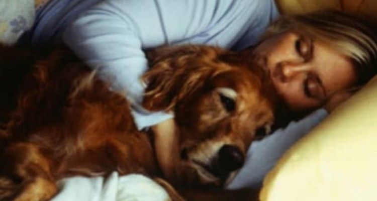 Il cane dorme con te nel letto? Mmmm allora devi assolutamente sapere questa cosa!