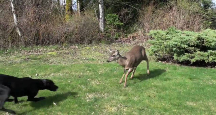 Non credevo a quello che vedevo, così ho preso la camera e ho immortalato tutto