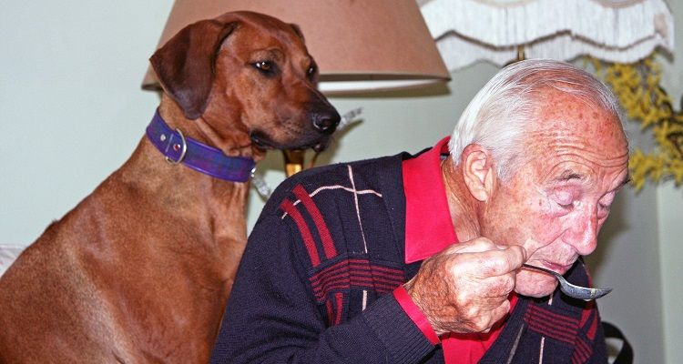 Mio padre non voleva un cane. Guardatelo adesso