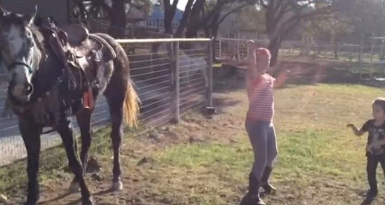 Accendono la musica accanto il cavallo, quest’ultimo reagisce in modo inaspettato