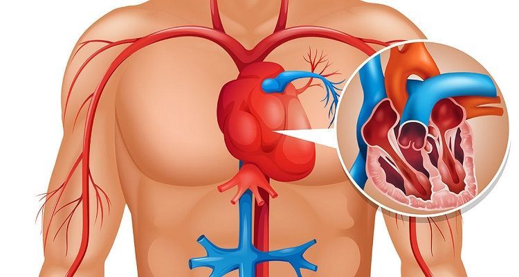 L’infarto ci avvisa un mese prima: ecco i segnali da non sottovalutare