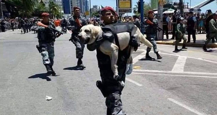 Questa è la foto che oggi vedete su ogni bacheca. Un militare con in braccio un cane