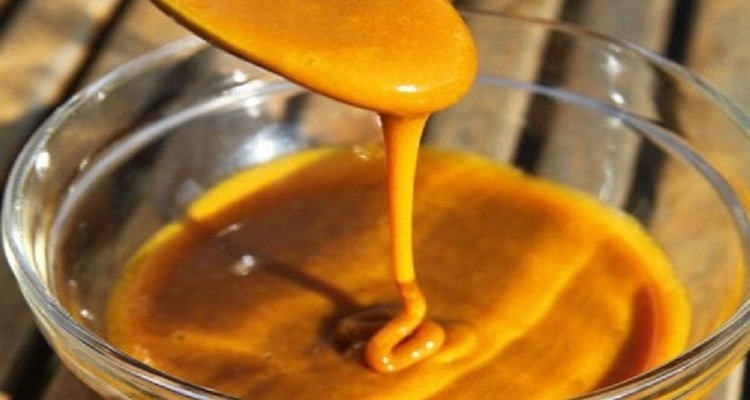 Curcuma e miele, i migliori antibiotici naturali