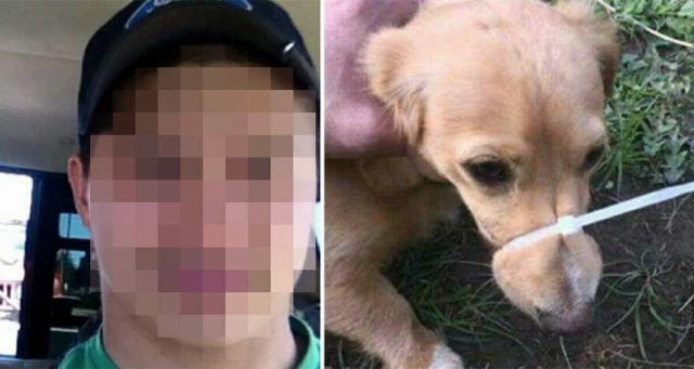 ragazzo-lega-il-muso-del-cane-per-impedirgli-di-abbaiare 1