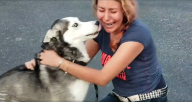 il-momento-in-cui-Kamerous-rivede-il-suo-amato-cagnolino 1