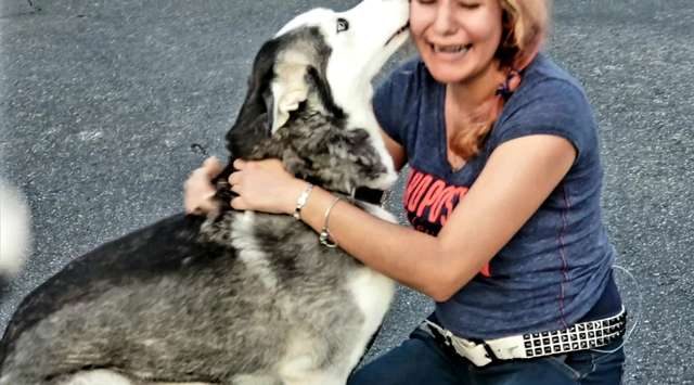 il-momento-in-cui-Kamerous-rivede-il-suo-amato-cagnolino 2