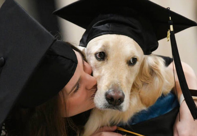 laurea-ad-honorem-al-cane