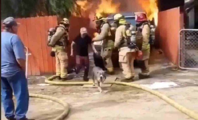 Luomo-ha-sfidato-le-fiamme-per-salvare-la-sua-cagnolina