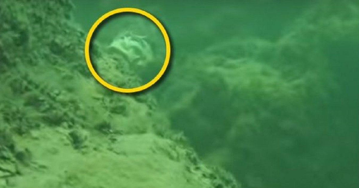 Uomo fa snorkeling nel Colorado e fa una strana scoperta