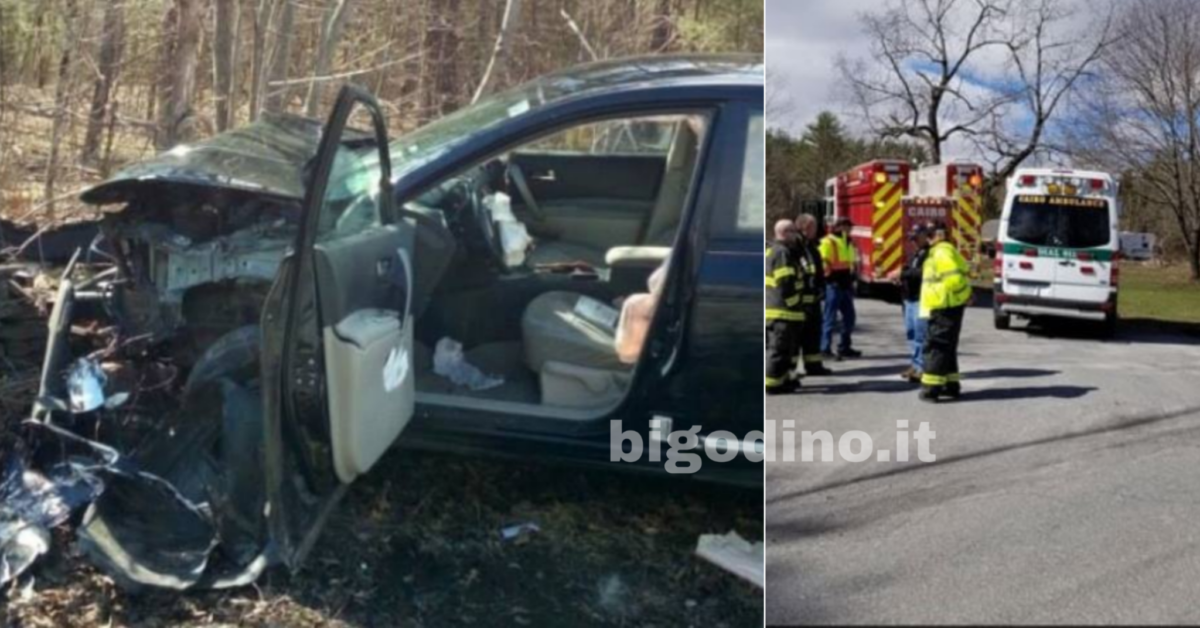 Perde il controllo della sua auto per colpa di un ragno