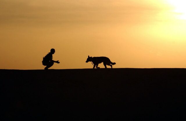 le-donne-preferiscono-dormire-con-il-loro-cane 2