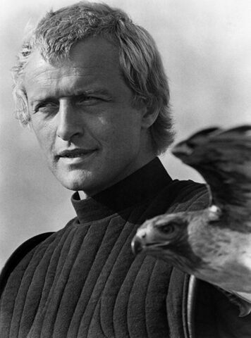 Rutger-Hauer-Lady-Hawk