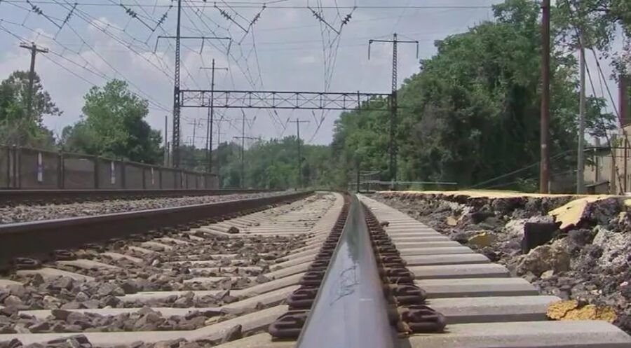 cane legato ai binari del treno