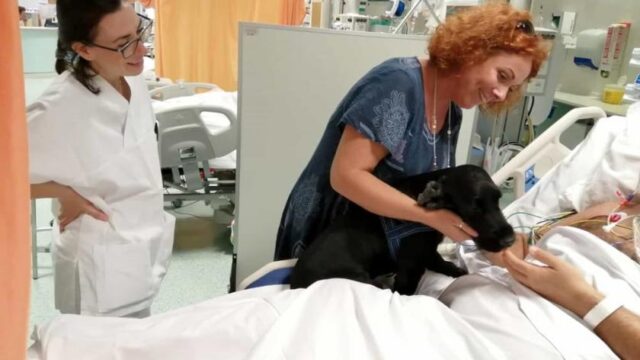 Empoli-Nell-il-primo-cane-che-è-entrato-nel-reparto-di-terapia-intensiva-per-il-suo-amico-umano2