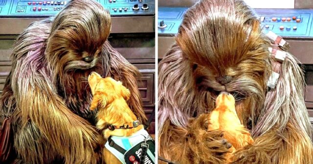 il-primo-commovente-incontro-tra-Sparrow-e-Chewbacca 1