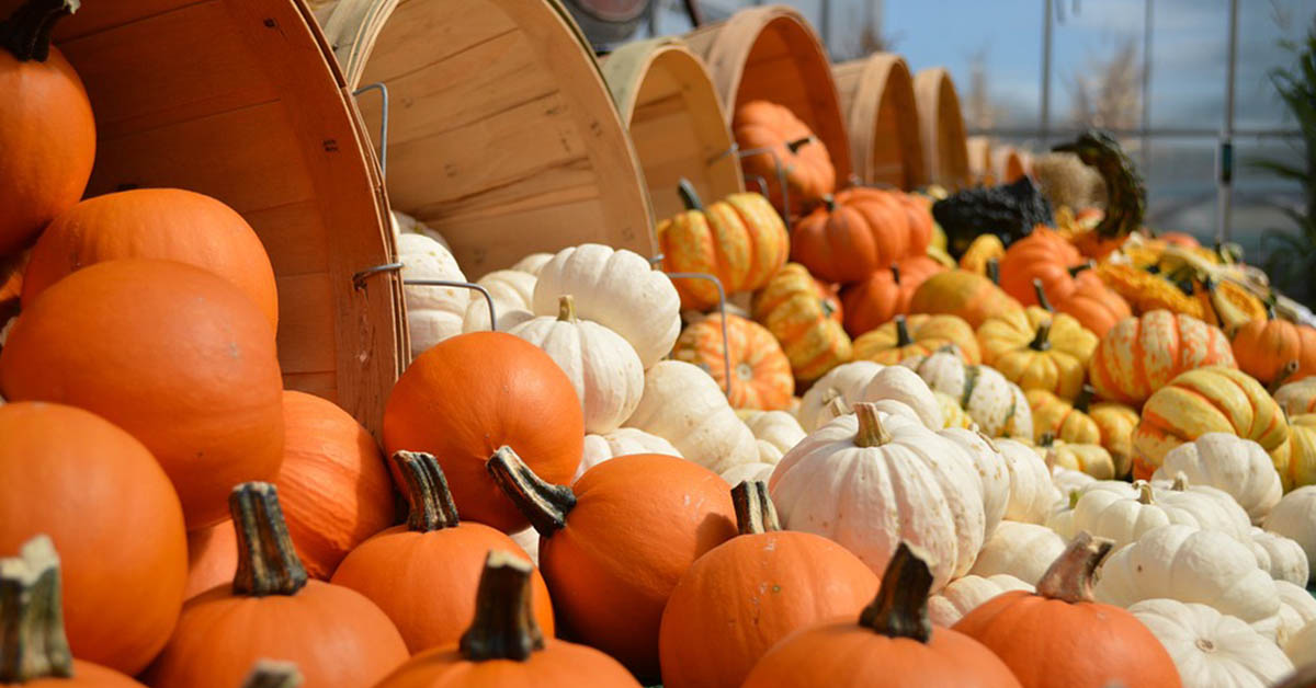 I prodotti alla zucca per un autunno all’insegna della bellezza