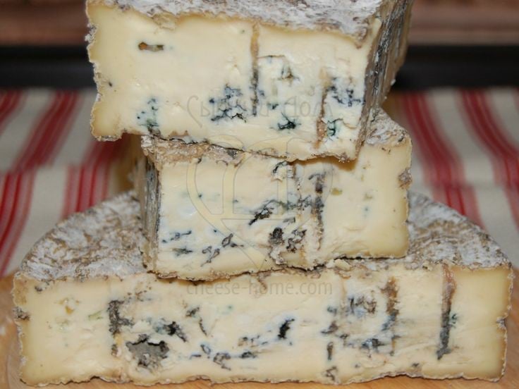 gorgonzola